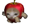 :applecat: