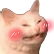 :uwucat: